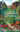 Gardener’s Almanac 2026 by Greg Loades