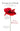Testament Of Youth : An Autobiographical Study of the Years 1900-1925 by Vera Brittain