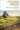 Of Thorn & Briar : A Year with the West Country Hedgelayer by Paul Lamb