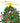 Meowy Christmas! by Panos Christodoulou