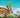 I am Hattie the Hare : A Tale from our Wild and Wonderful Meadows by Pam Ayres